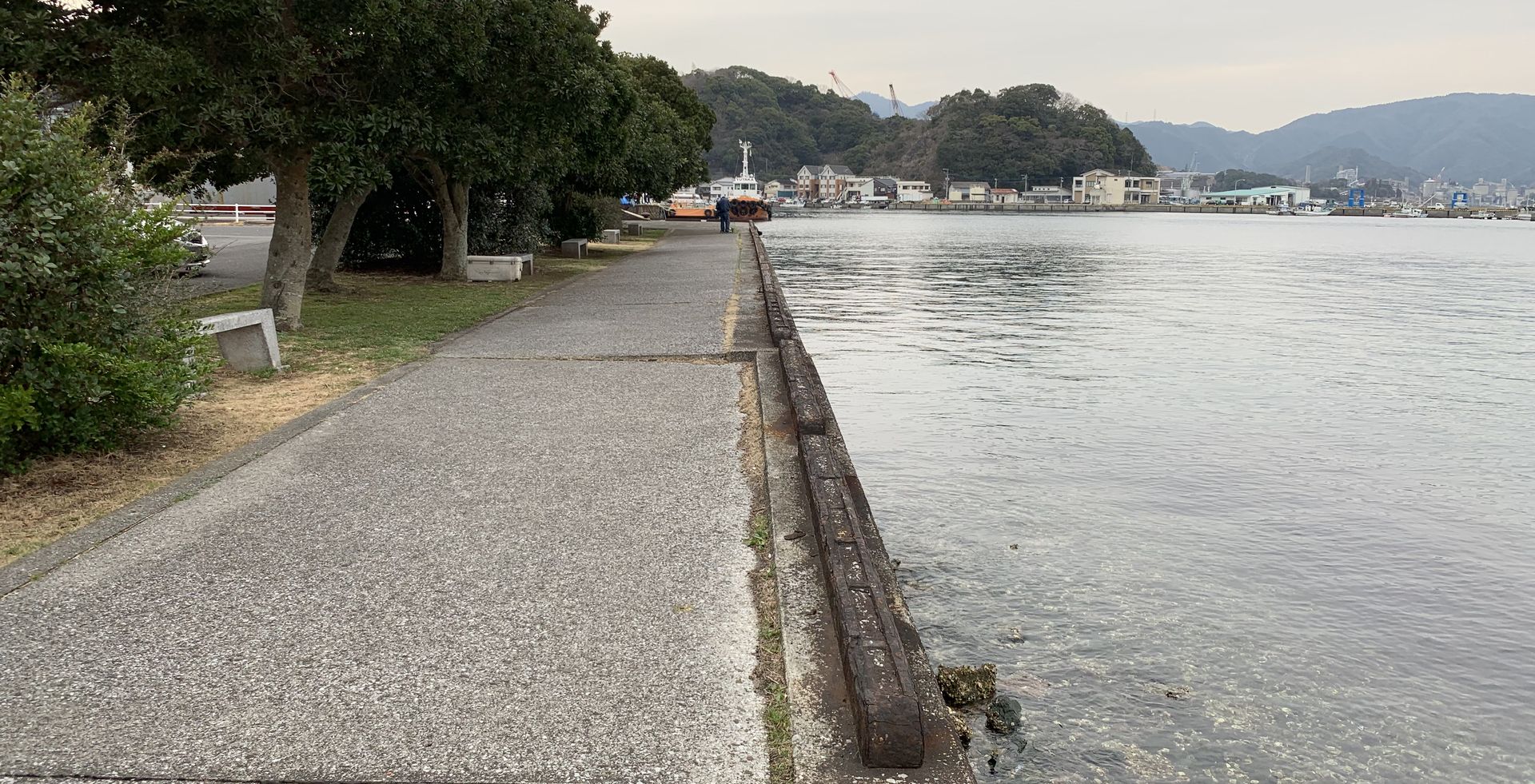 佐伯港（佐伯市） 大分県の釣り場情報