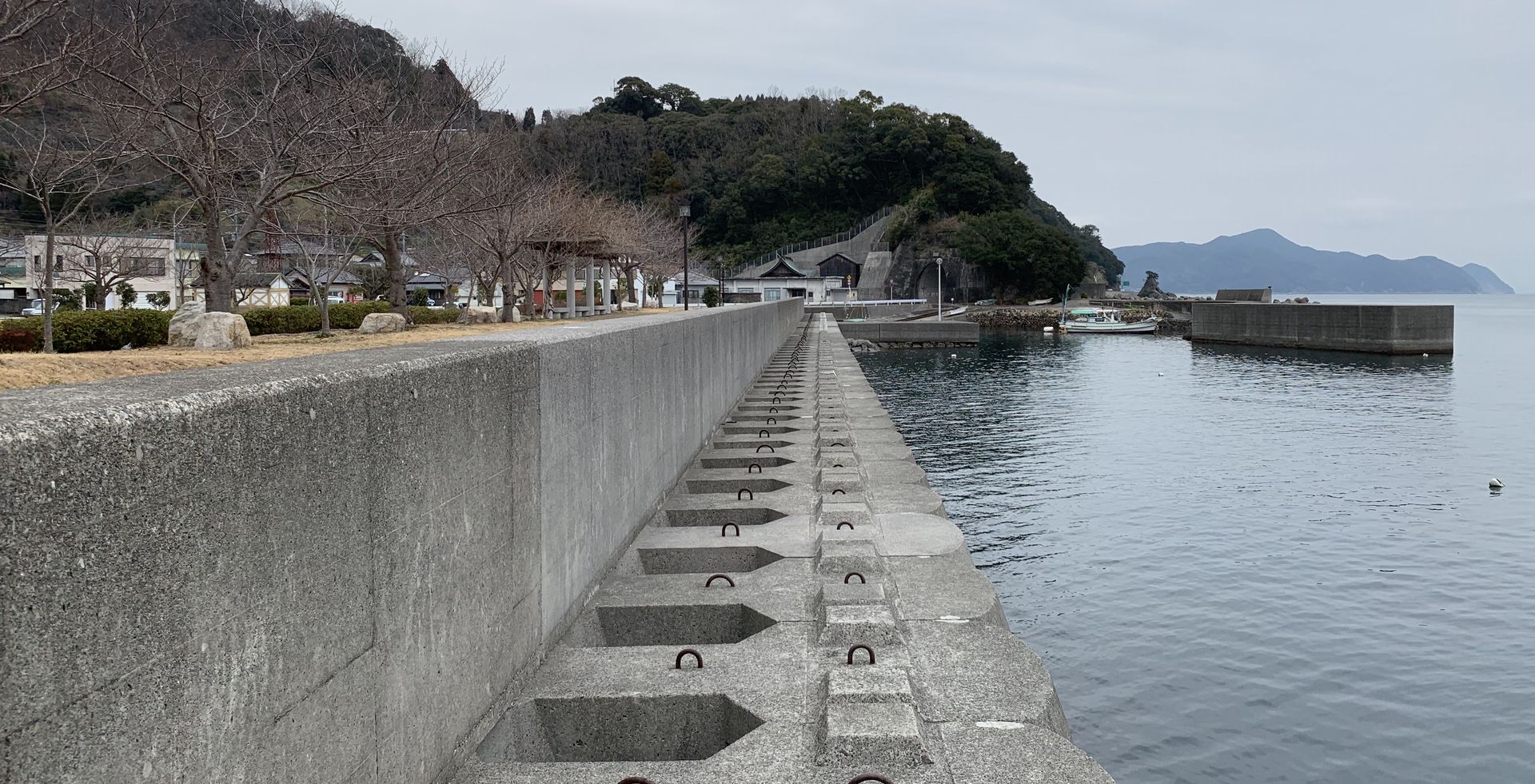 ひるほし公園裏（佐伯市上浦）