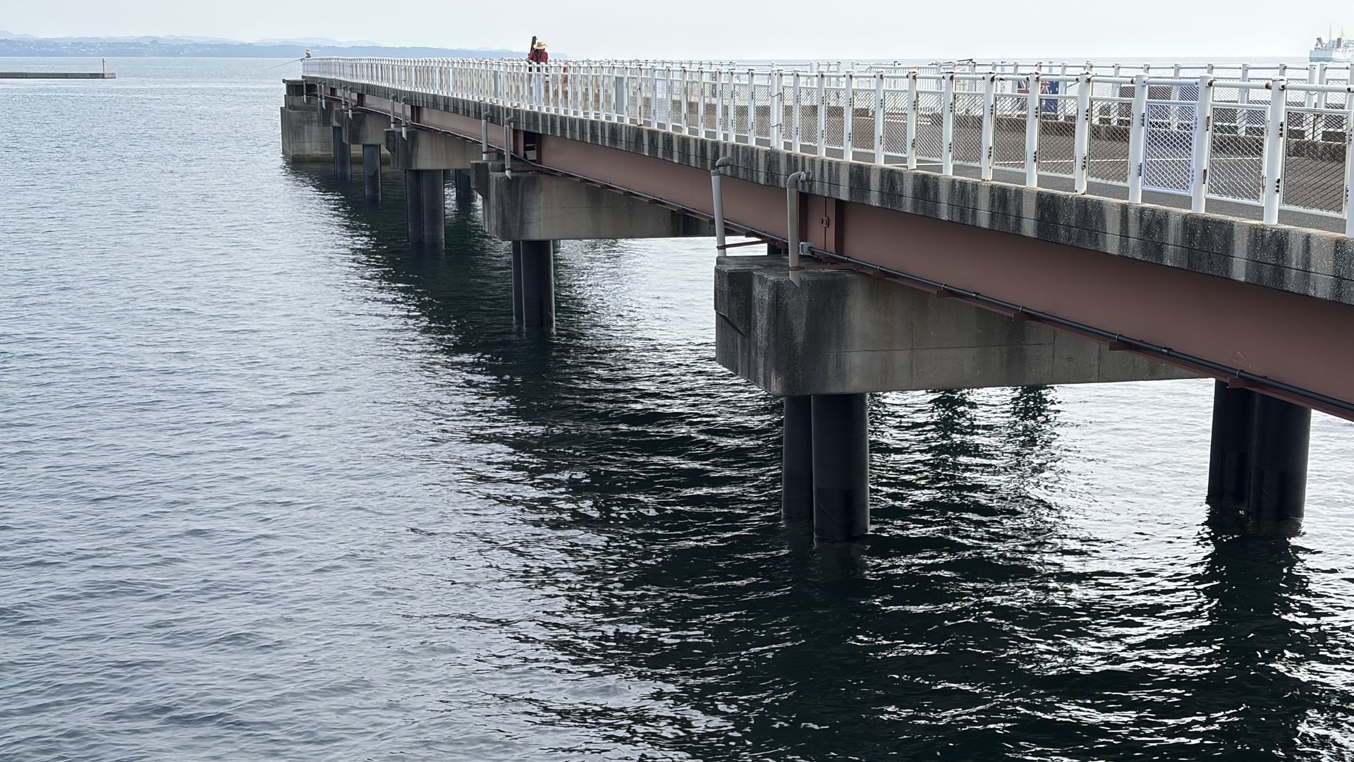 餅ケ浜桟橋（別府市）