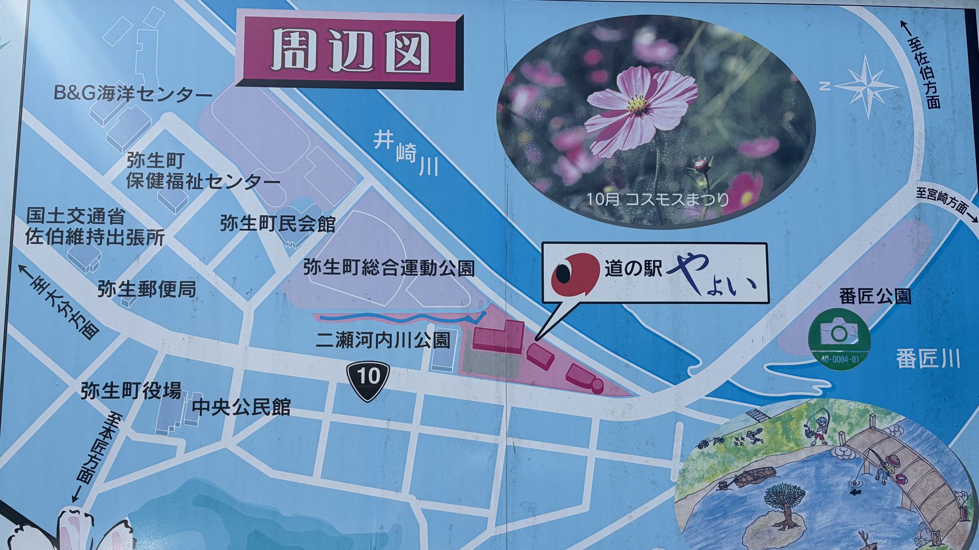 道の駅やよい 周辺案内図