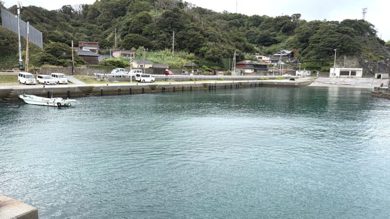 湾内の様子