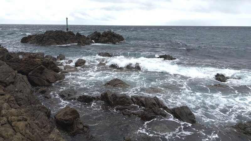 半島の東側の磯